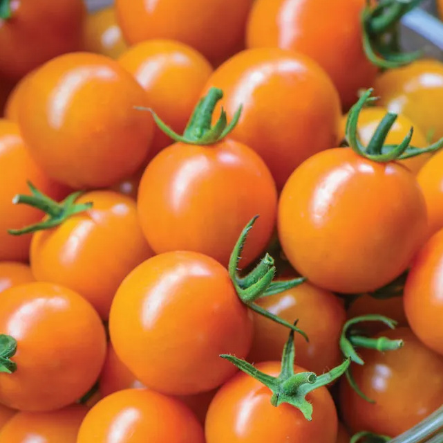 Tomato - Estericia Cherry