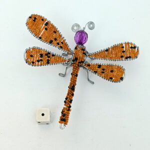 Dragonfly 1
