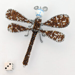 Dragonfly 3