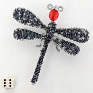 Dragonfly 6