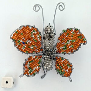 Butterfly 1