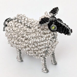 Sheep - green eyes