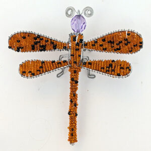 Dragonfly 7